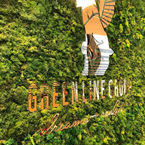 mox üzərində reklam