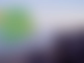 On the Coast of Costa Rica