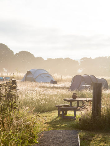 Two tents in a meadow with long grass at sunrise
