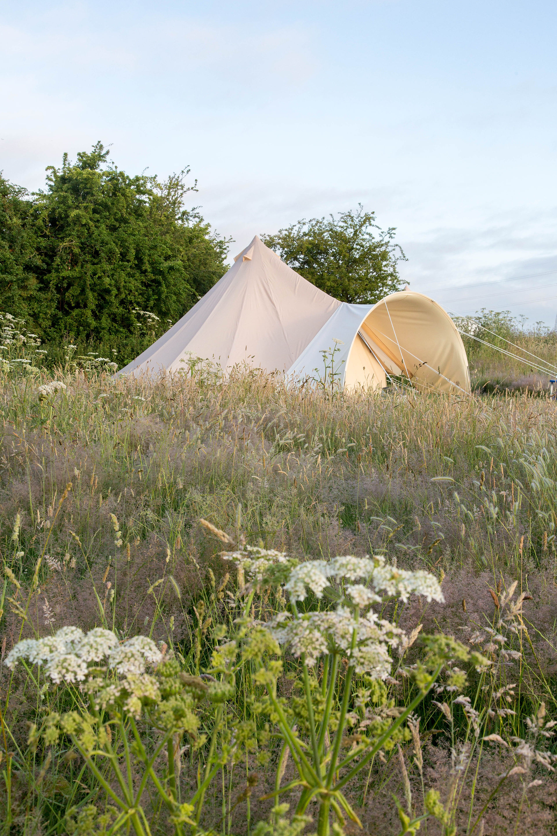 A bell tent with wild flowers and long grass in the foreground