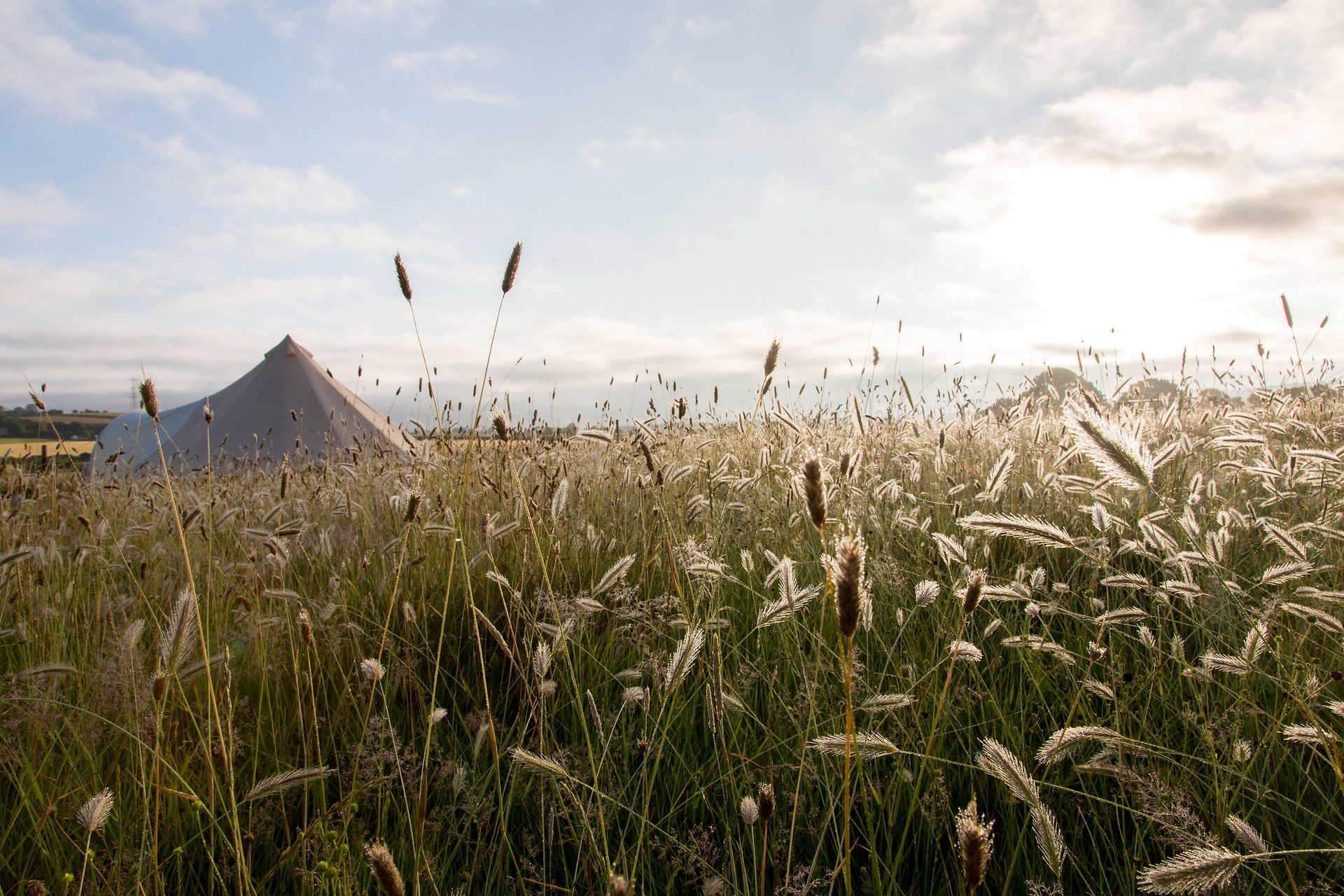 A view through long grass towards a furnishedbell tent