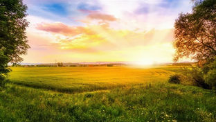 Reflexão sobre a Páscoa