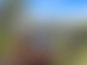 Modern North Avoca granny flat with dual skillion roofs, elevated timber deck, and landscaped garden on a sloping block