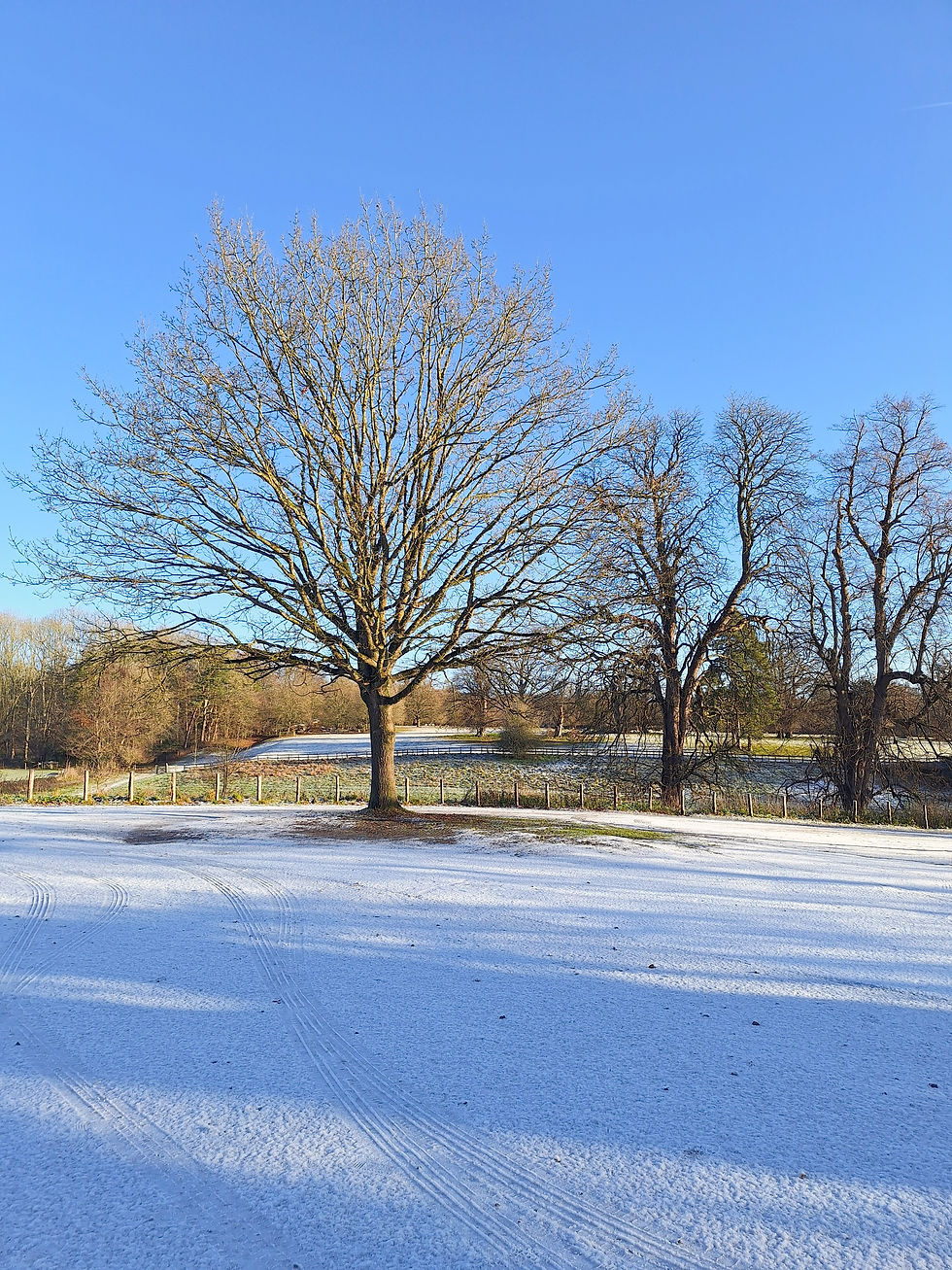 Community. Connection. Communication.