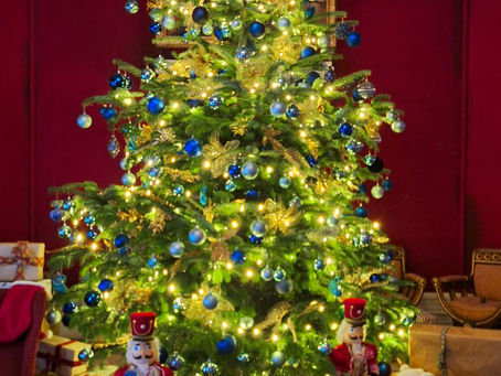 Wishing you a very Merry Christmas and a Happy New Year!