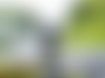 Best 3 Health Quotes Of All Time