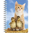 Ginger Kitten with Ducklings NB162.jpg