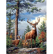 Stag and Doe - GD3084.png