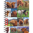 Highland Cows (Repeat) - NB464.jpg