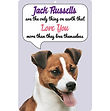 Jack Russell - FS822.jpg
