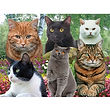 Cats - 3D015.jpg