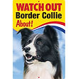FS452 - Border Collie 1.jpg