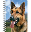 German Shepherd 1 NB016.jpg