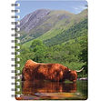 Highland Cow Ben Nevis - NB076.jpg
