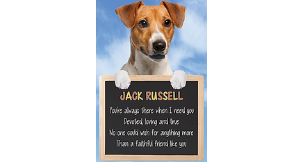 FS521 - Jack Russell.png