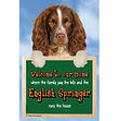 FS620 - English Springer.jpg