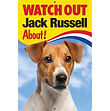 FS468 Jack Russell 1.jpg