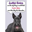 Scottish Terrier - FS831.jpg