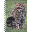 Scottish Wildcat - NB470.jpg