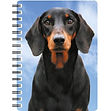 Dachshund Black & Tan 1 NB118.jpg