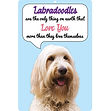 Labradoodle (Cream) - FS825.jpg