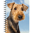 Airedale Terrier NB321.jpg