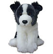 FBC03 - 12_ Border Collie.png