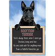 FS528 - Scottish Terrier.png