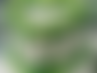 St. Patrick's Day Vintage Heart Cake