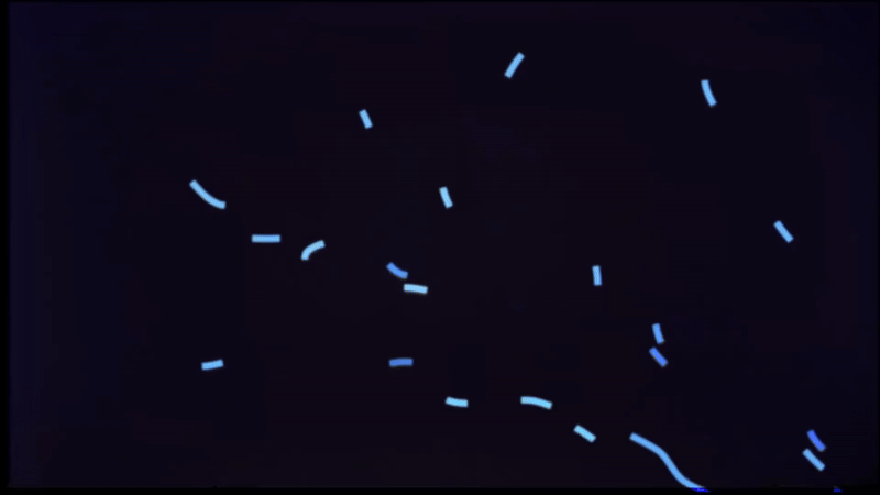 IMG_3738.GIF