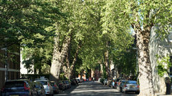 Empty streets