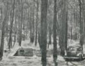 Lyonville mineral springs.jpg