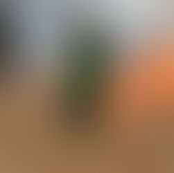 Planned Burn in Lyonville 27/28 April