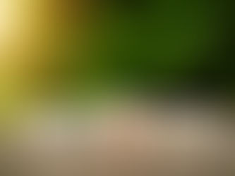 WIN Strategy – The Proposal Strategy Demystified