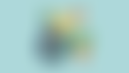 Investor Handling - The Key to Success