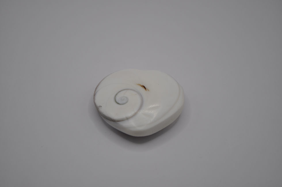Thumbnail: Eye of Shiva Heart Shell 