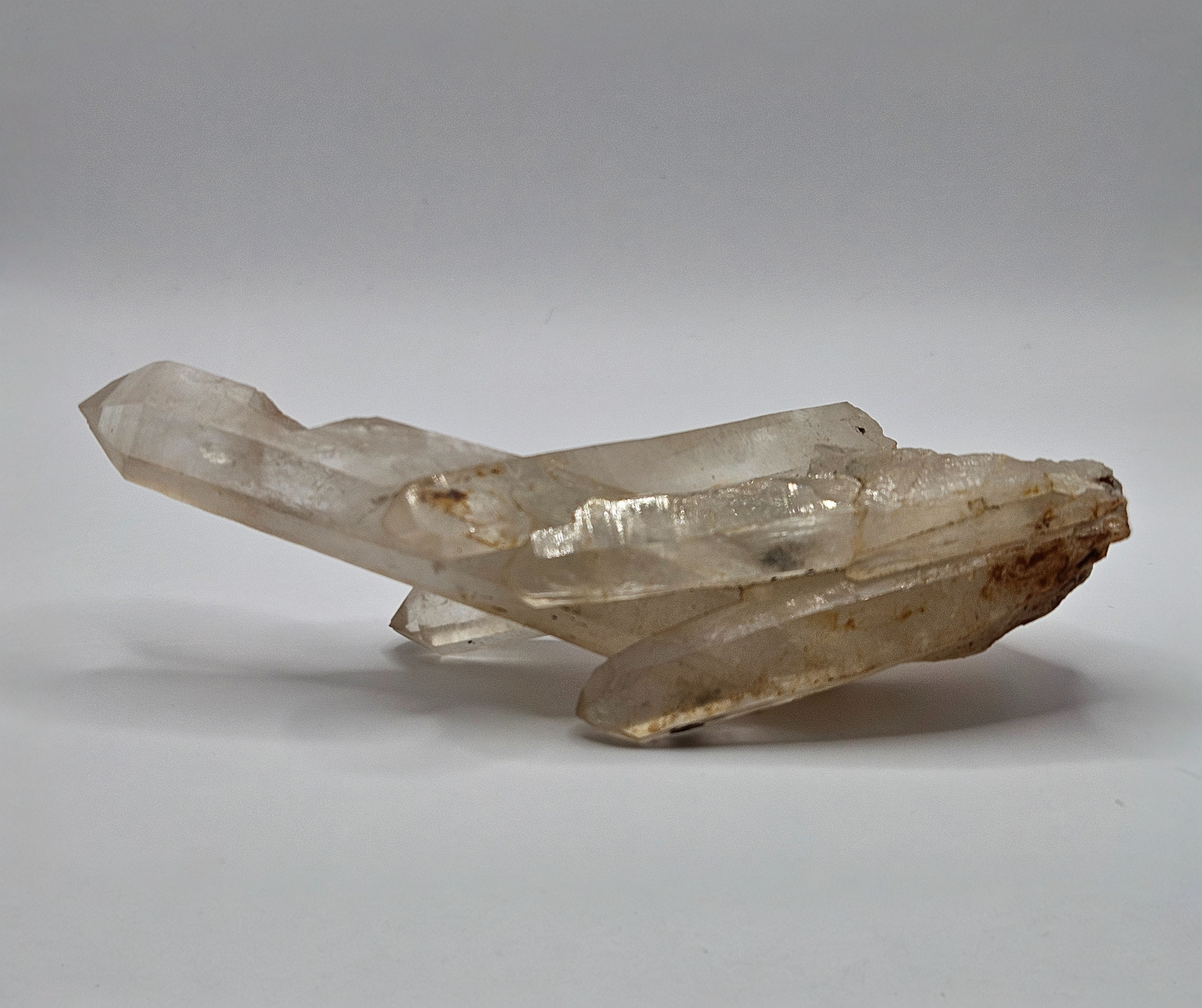 "One Long Boi" Quartz Cluster