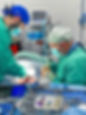 e170c404-4640-4ffe-a83b-e50ba6c558a2.jpg