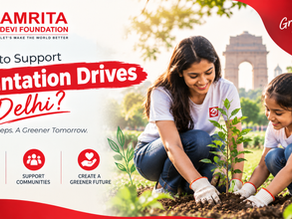 How to Support Plantation Drives in Delhi? A Simple Guide to Greener Communities