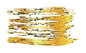 vetor