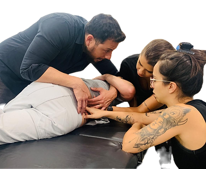 Terapia Manual Gondo & Paes Cursos e Treinamentos