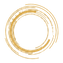 vetor