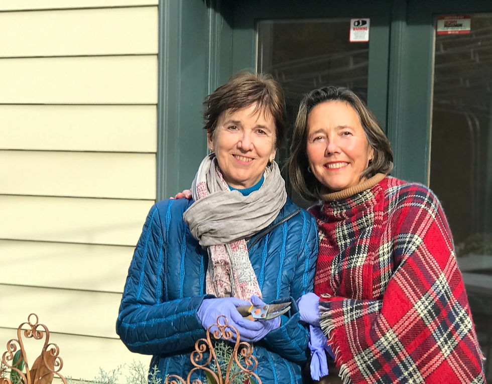 Terre noire: Chapter 2