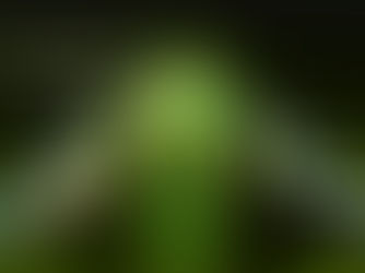 A proactive approach is worth the investment