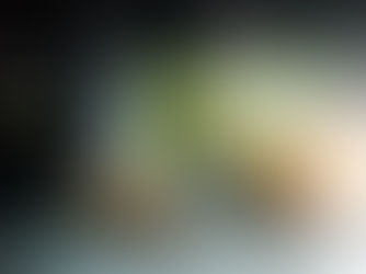 Anticipate. Prevent. Succeed.