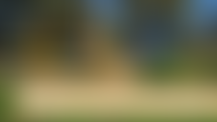 Umfrage: Ein neuer Spielplatz für Abenden