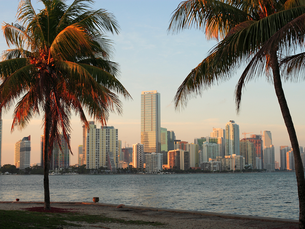 Protecting South Florida Businesses from Cyber Attacks