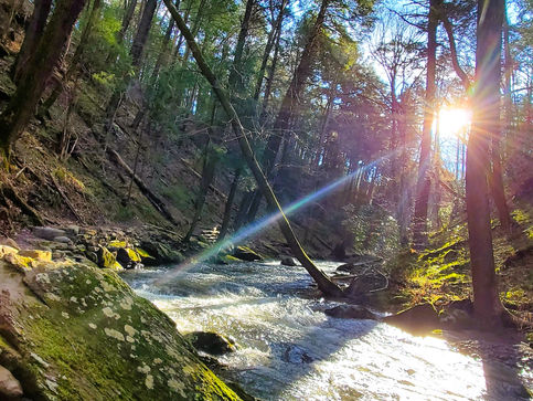 Gratitude Friday 4-22-22 – Sunrises