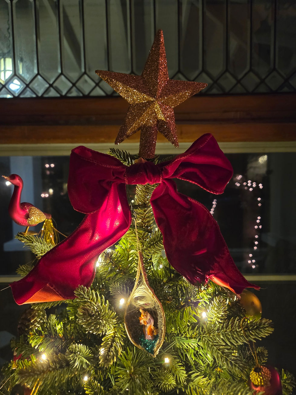 Gratitude Friday 12-19-25 – Standing Still in the Dark