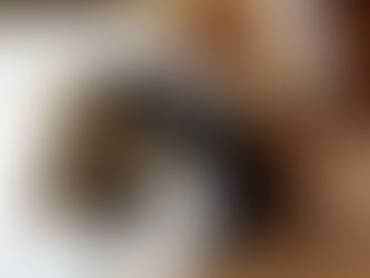 Gratitude Friday 5-20-22 – National Rescue Dog Day